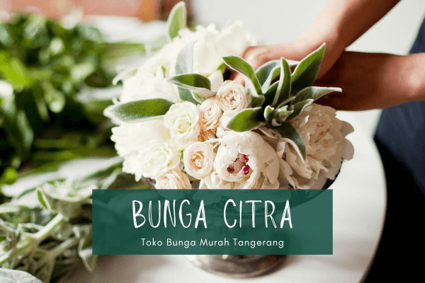 Jual Bunga Papan Tangerang